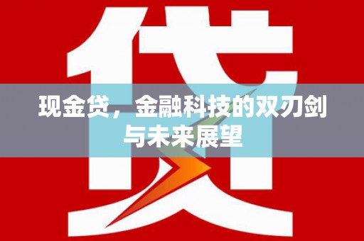 耀州现金贷，金融科技的双刃剑与未来展望