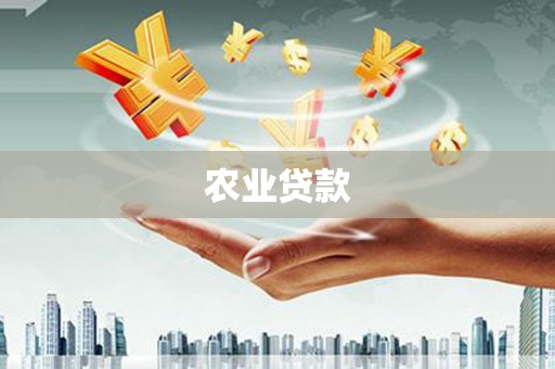 耀州农业贷款