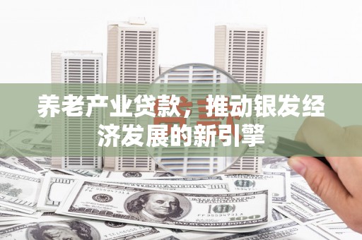 耀州养老产业贷款，推动银发经济发展的新引擎