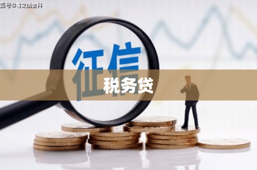 耀州税务贷