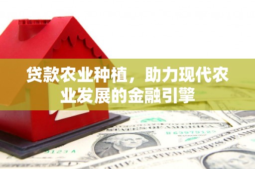 耀州贷款农业种植，助力现代农业发展的金融引擎
