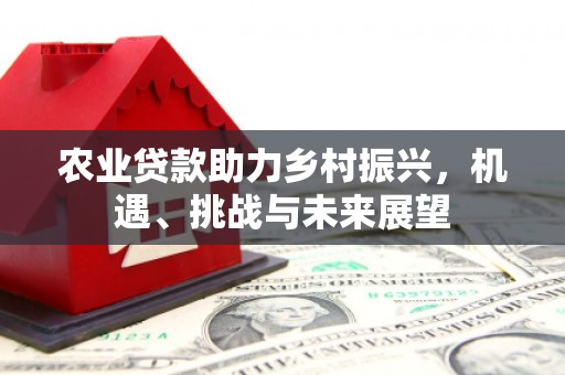 耀州农业贷款助力乡村振兴，机遇、挑战与未来展望