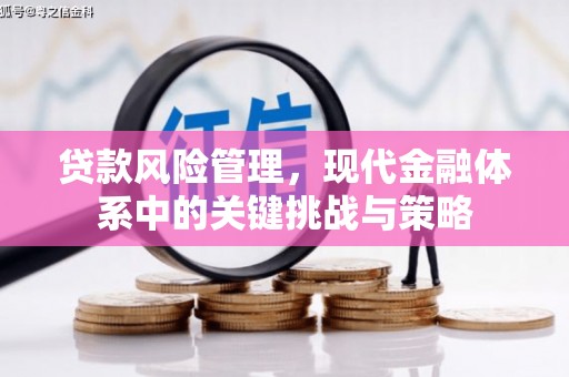 耀州贷款风险管理，现代金融体系中的关键挑战与策略
