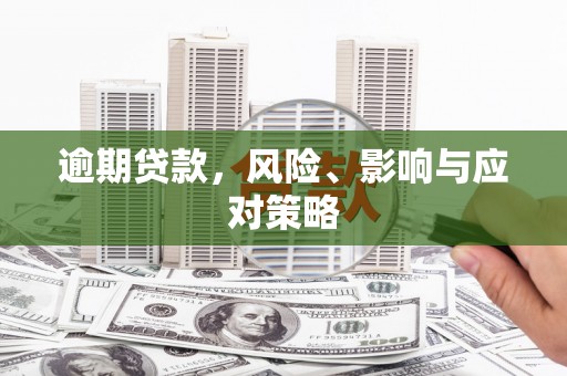 耀州逾期贷款，风险、影响与应对策略