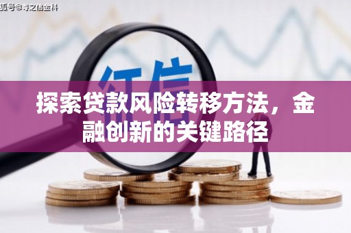 耀州探索贷款风险转移方法，金融创新的关键路径