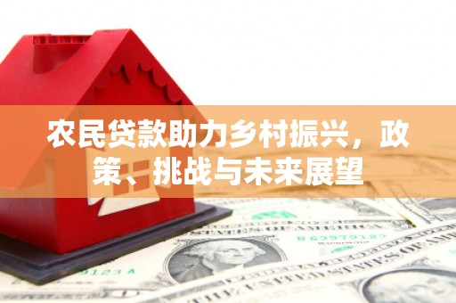 耀州农民贷款助力乡村振兴，政策、挑战与未来展望