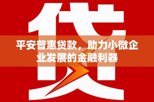 耀州平安普惠贷款，助力小微企业发展的金融利器