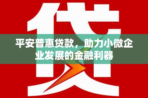耀州平安普惠贷款，助力小微企业发展的金融利器