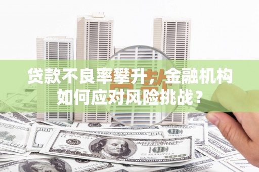 耀州贷款不良率攀升，金融机构如何应对风险挑战？