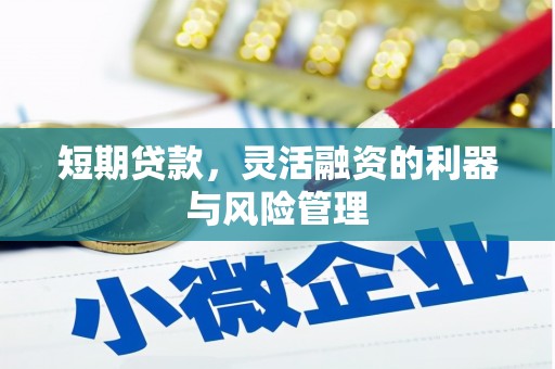 耀州短期贷款，灵活融资的利器与风险管理