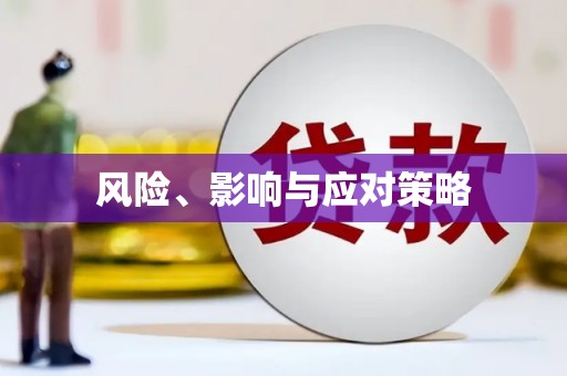 耀州风险、影响与应对策略