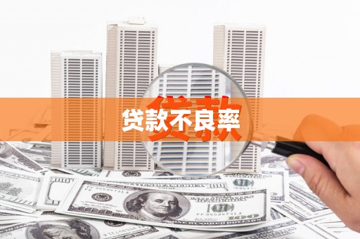 耀州贷款不良率
