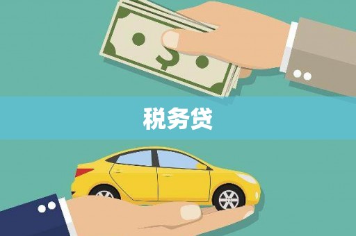 耀州税务贷