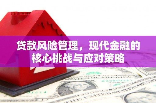 耀州贷款风险管理，现代金融的核心挑战与应对策略