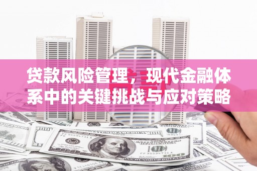 耀州贷款风险管理，现代金融体系中的关键挑战与应对策略