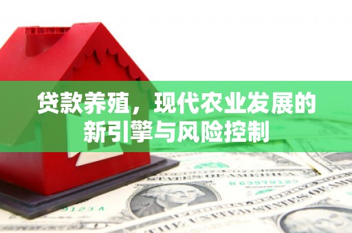 耀州贷款养殖，现代农业发展的新引擎与风险控制
