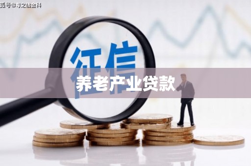 耀州养老产业贷款