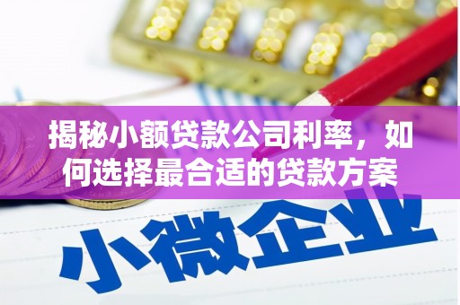 耀州揭秘小额贷款公司利率，如何选择最合适的贷款方案