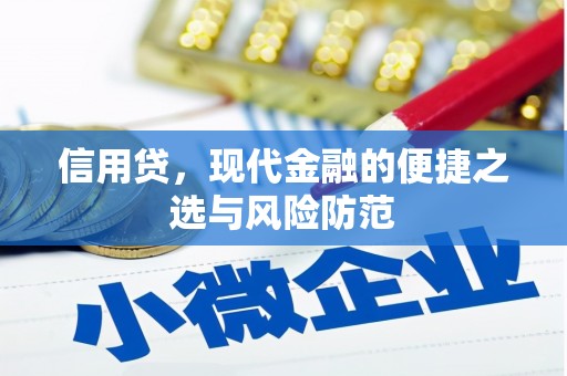 耀州信用贷，现代金融的便捷之选与风险防范