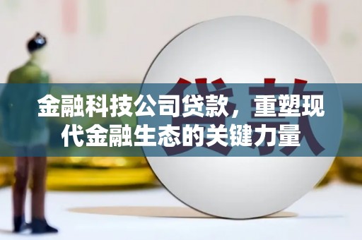 耀州金融科技公司贷款，重塑现代金融生态的关键力量