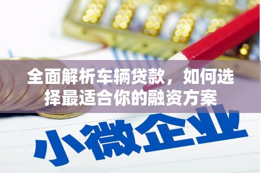 耀州全面解析车辆贷款，如何选择最适合你的融资方案