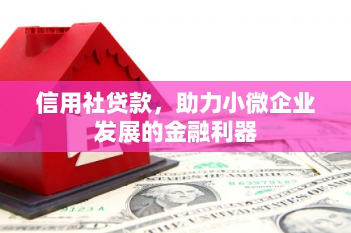 耀州信用社贷款，助力小微企业发展的金融利器