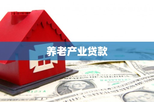 耀州养老产业贷款