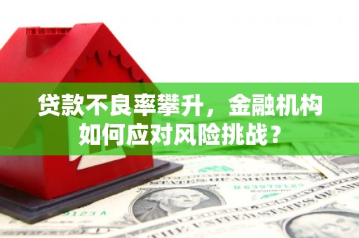 耀州贷款不良率攀升，金融机构如何应对风险挑战？