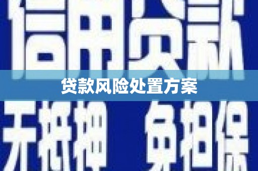 耀州贷款风险处置方案