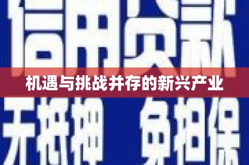 耀州机遇与挑战并存的新兴产业