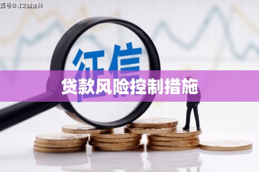 耀州贷款风险控制措施
