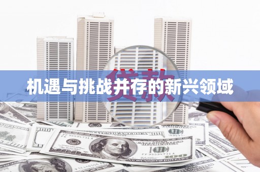 耀州机遇与挑战并存的新兴领域