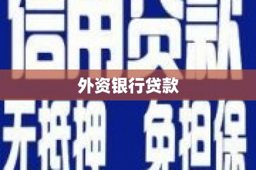 耀州外资银行贷款