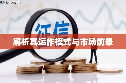 耀州解析其运作模式与市场前景
