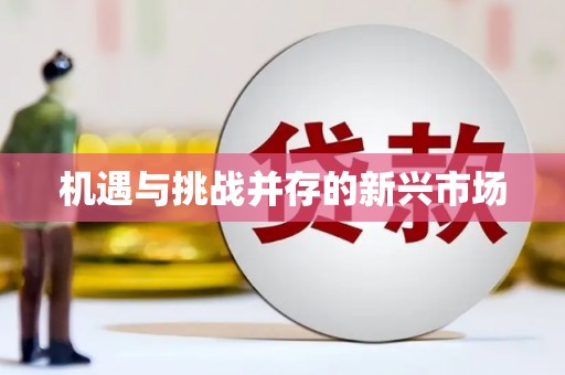 耀州机遇与挑战并存的新兴市场