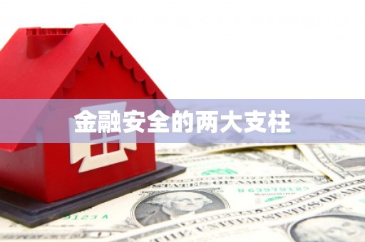 耀州金融安全的两大支柱