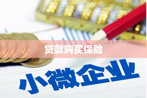 耀州贷款购买保险