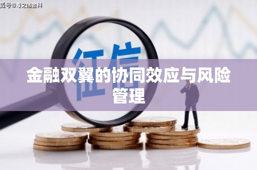 耀州金融双翼的协同效应与风险管理