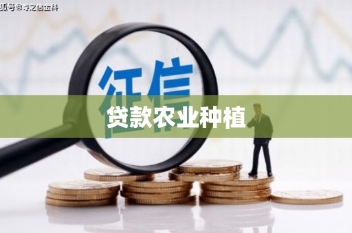 耀州贷款农业种植