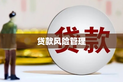 耀州贷款风险管理