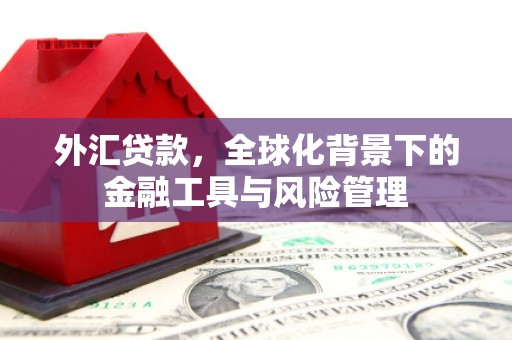 耀州外汇贷款，全球化背景下的金融工具与风险管理