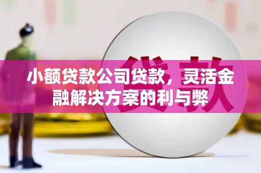 耀州小额贷款公司贷款，灵活金融解决方案的利与弊