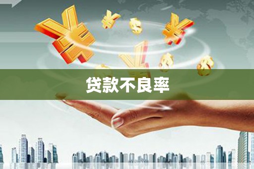 耀州贷款不良率