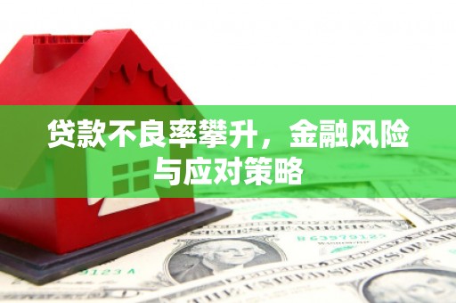 耀州贷款不良率攀升，金融风险与应对策略